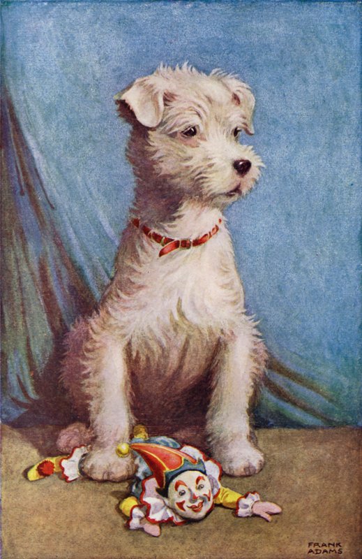 Oyuncak palyaçolu köpek (renkli taş) by Frank Adams