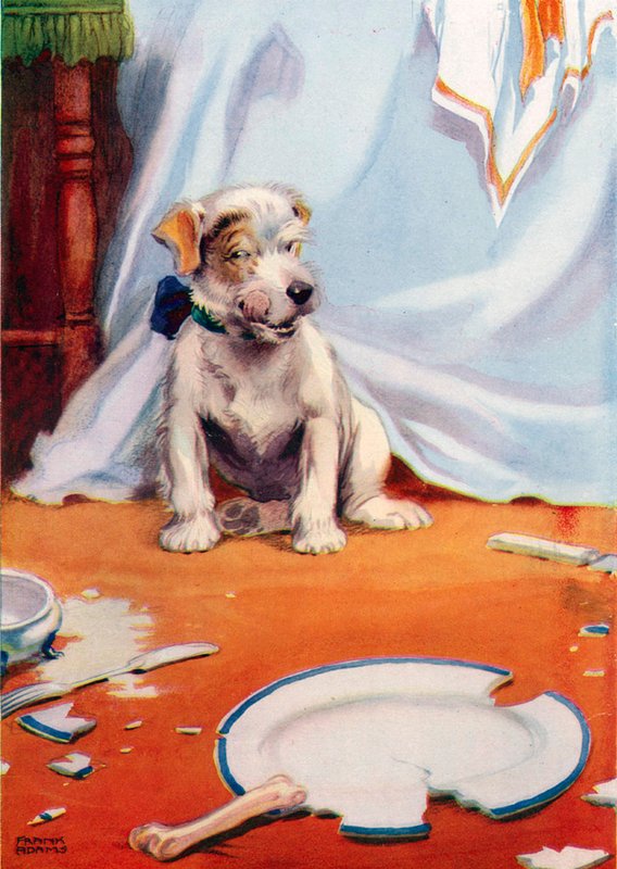 Plakası kırık köpek (renkli taş) by Frank Adams