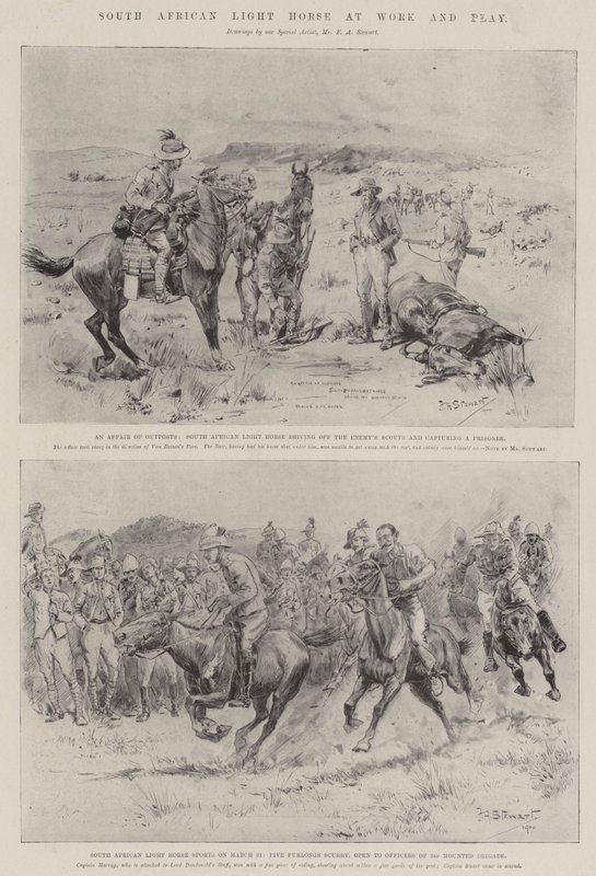 Güney Afrika Hafif Atı İş Başında ve Oyunda by Frank Algenon Stewart