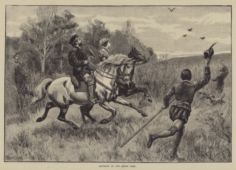 Eski Zamanda Hawking by Frank Dadd