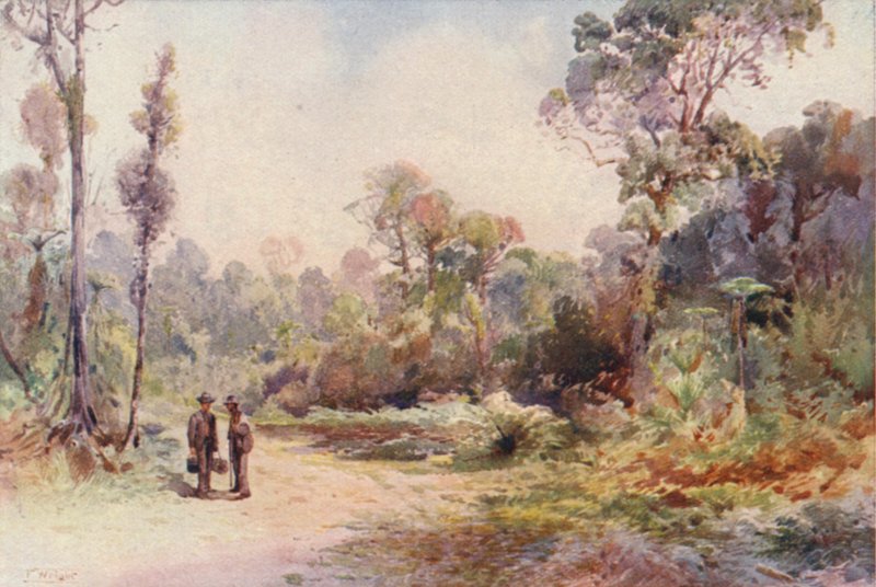  by Frank H Wright