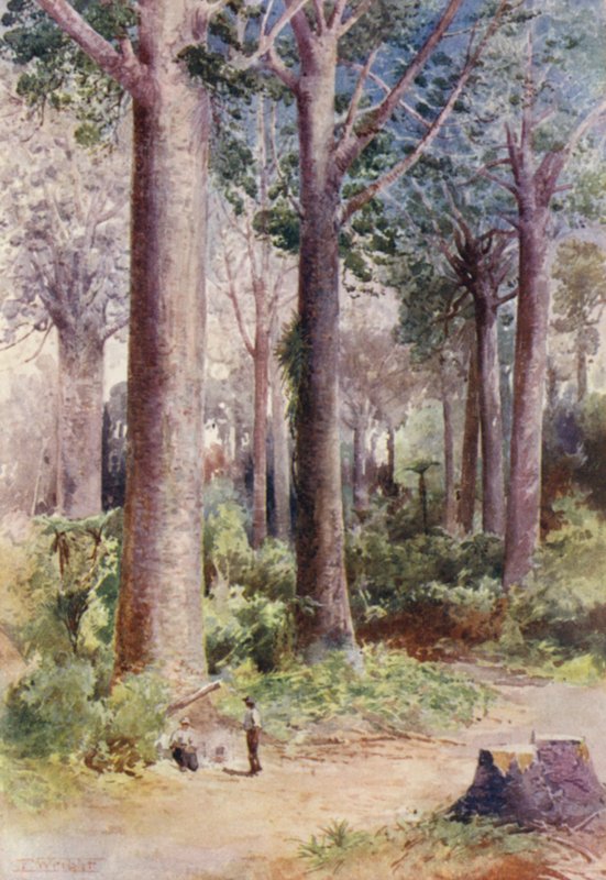 by Frank H Wright
