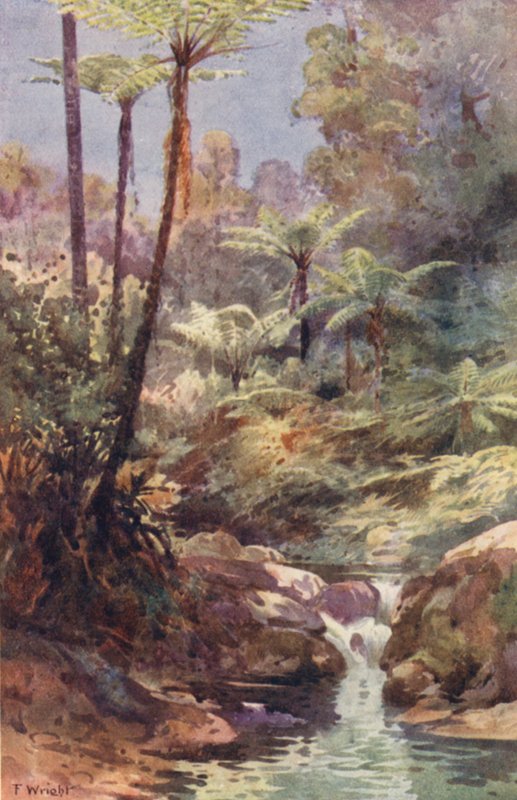  by Frank H Wright