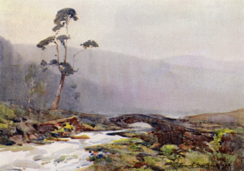 Bir Moorland Çayı (renkli taş) by Frank Southgate