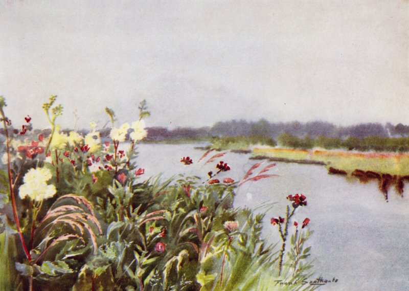 Norfolk Broads: Bir Bure Bankası (renkli taş) by Frank Southgate