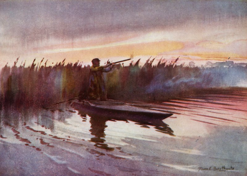 Norfolk Broads: Uçuş Çekimi (renkli taş) by Frank Southgate