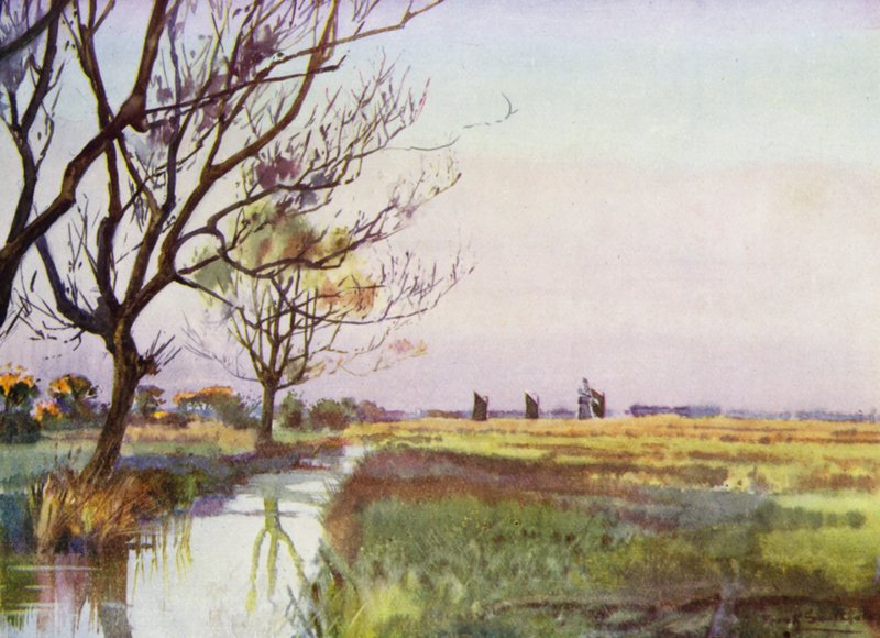 Norfolk Broads: Barton yakınlarındaki Marshland (renkli taş) by Frank Southgate