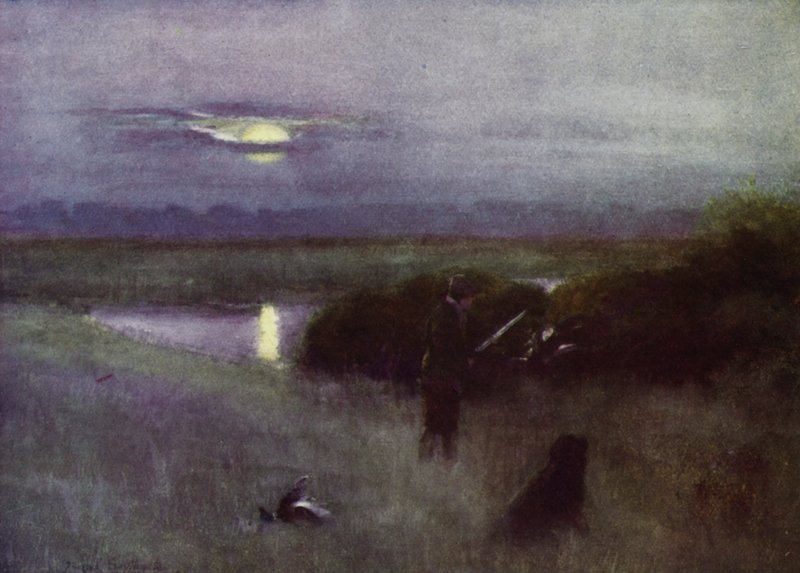 Norfolk Broads: Ayın Doğuşu, Uçuşta (renkli taş) by Frank Southgate