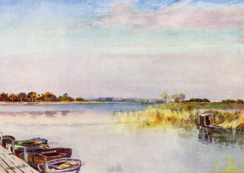 Norfolk Broads: Ormesby Broad, Sonbahar (renkli taş) by Frank Southgate
