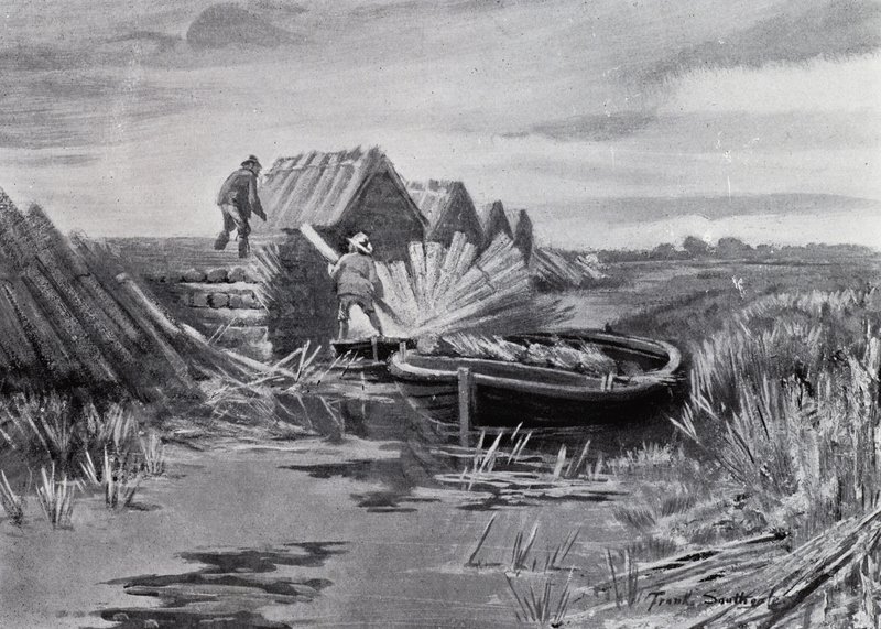 Norfolk Broads: Kamış İstifleme (lito) by Frank Southgate