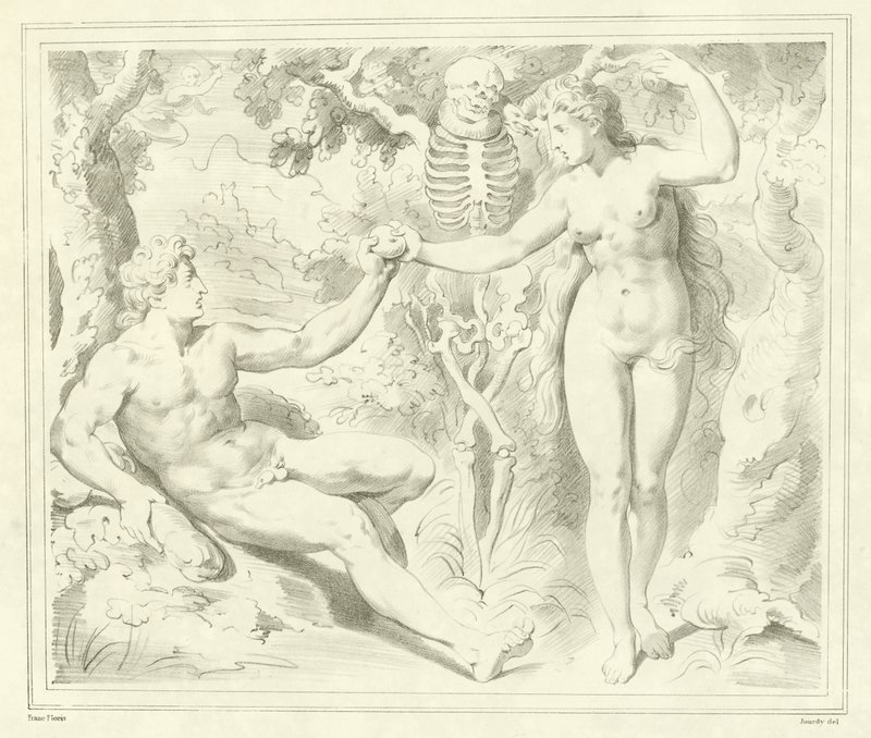 Adam and Eve  by Frans Floris