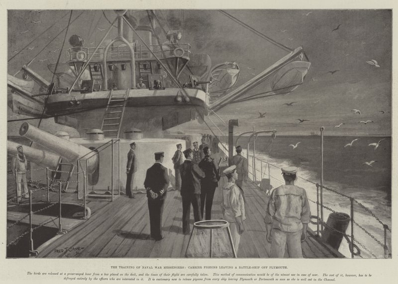 Deniz Savaşı Habercilerinin Eğitimi, Plymouth açıklarında bir Savaş Gemisinden ayrılan Taşıyıcı Güvercinler by Fred T. Jane