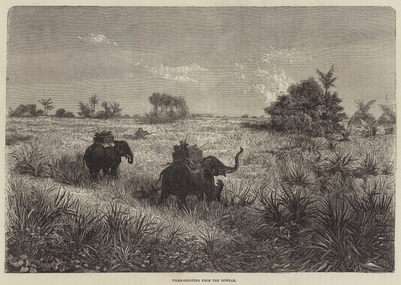 Hindistan ve Galler Prensi, Howdah