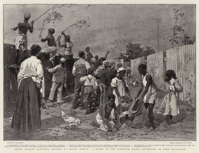 Güney Afrika