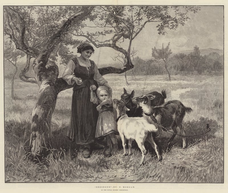 kuşatılmış by Frederick Morgan