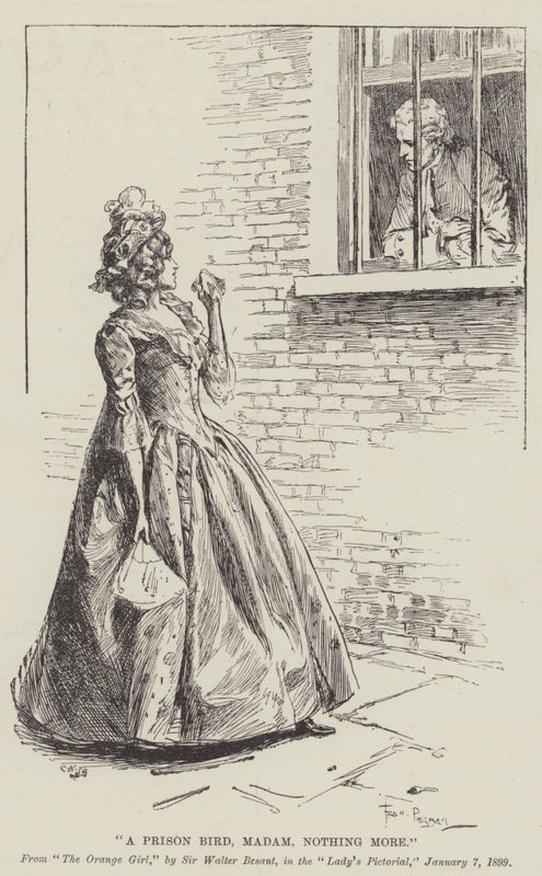 Bir Hapishane Kuşu, Madam, Başka Bir Şey Yok by Frederick Pegram