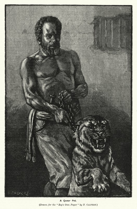 Bir Queer Evcil Hayvan (gravür) by Frederick (after) Calvert