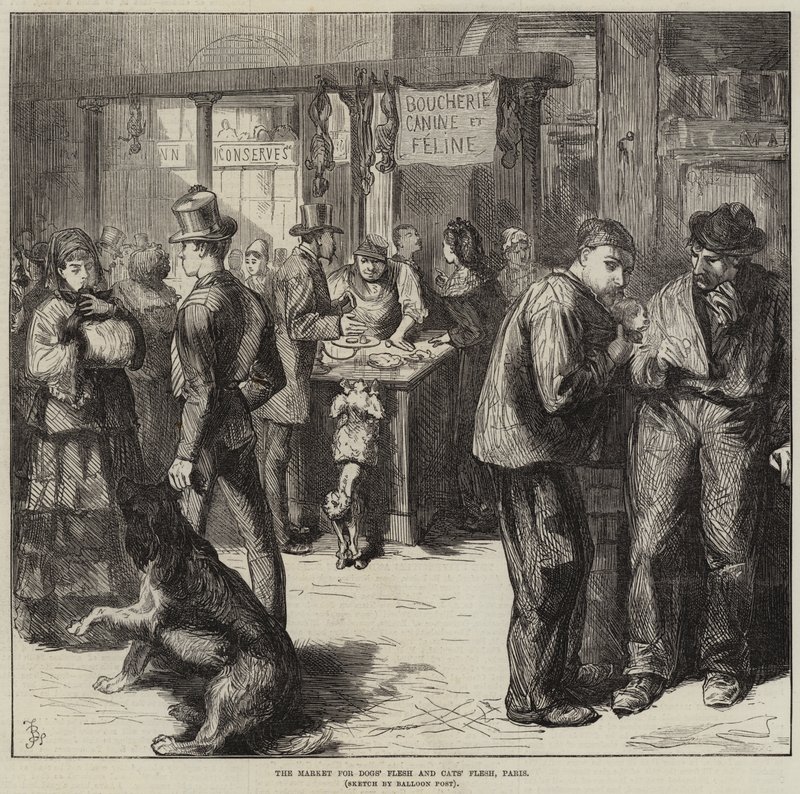 Köpek Eti ve Kedi Eti Pazarı, Paris by Frederick Barnard
