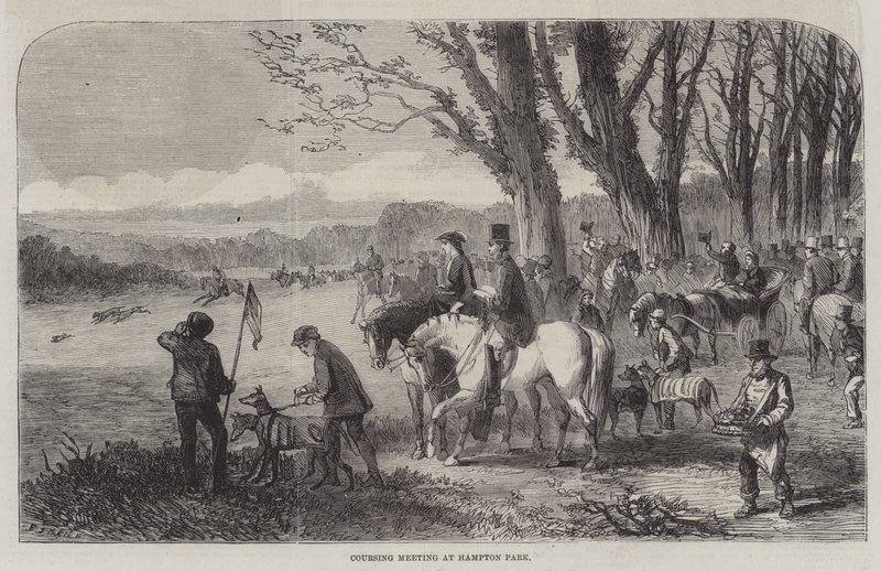 Hampton Park'ta Seyir Toplantısı by Frederick John Skill