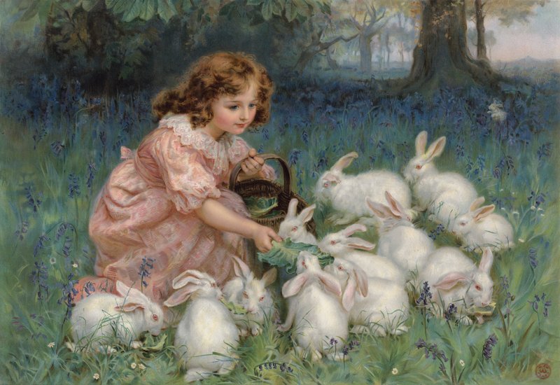 ?Alice Harikalar Diyarında? by Frederick Morgan
