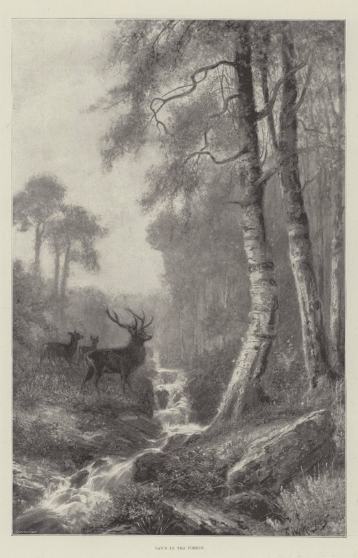 Ormanda Şafak by Frederick William Hayes