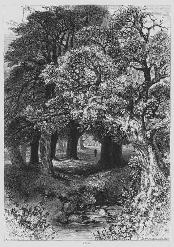 John Milton, Dalgın (gravür) by Frederick William Hulme