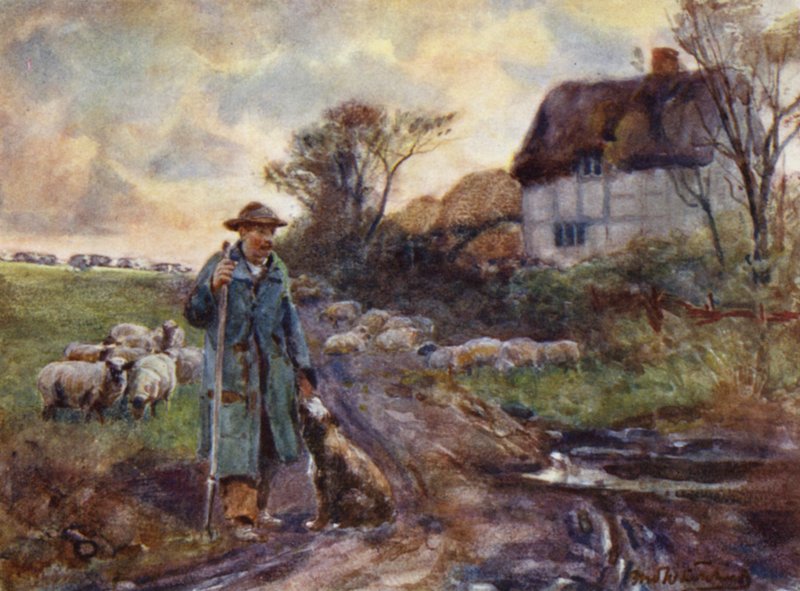 dilenci süpürge by Frederick William Newton Whitehead