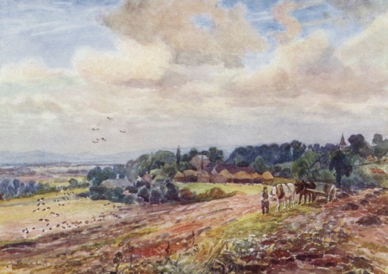 Aç Grafton by Frederick William Newton Whitehead