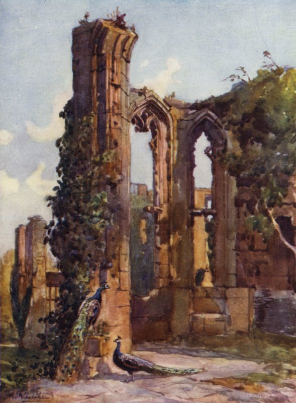 Kenilworth Kalesi by Frederick William Newton Whitehead