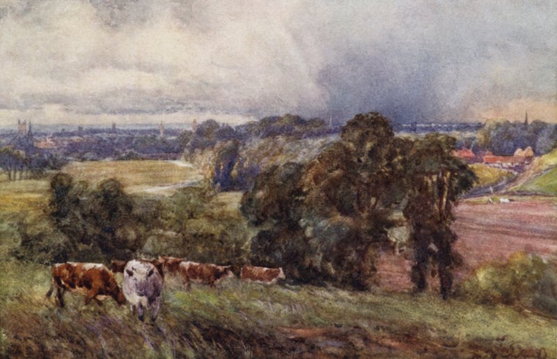 Campion Hills