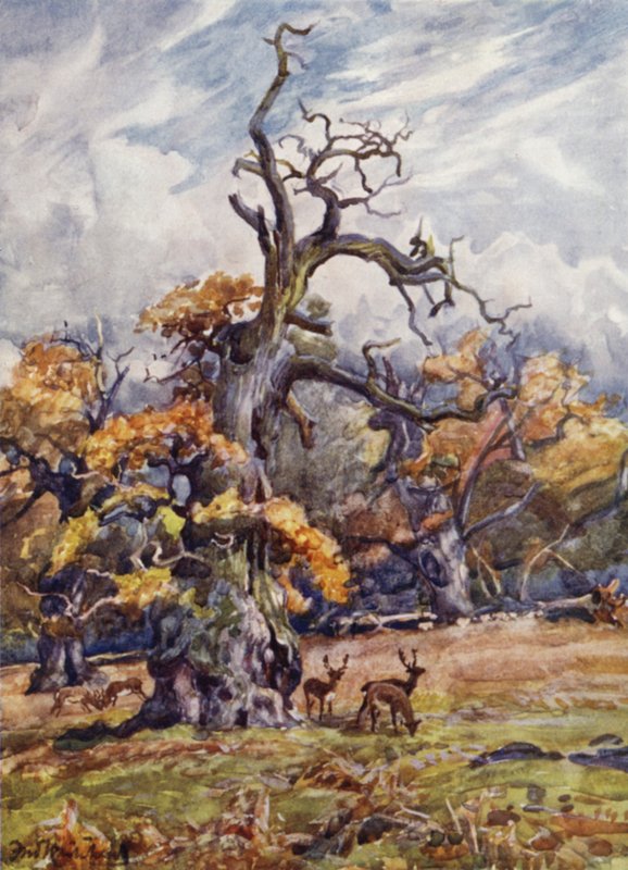 Packington Parkı by Frederick William Newton Whitehead