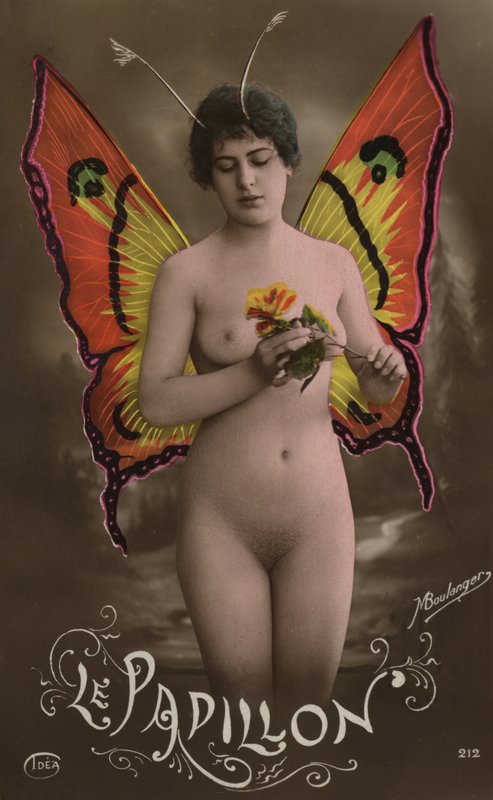 Kelebek by French Photographer