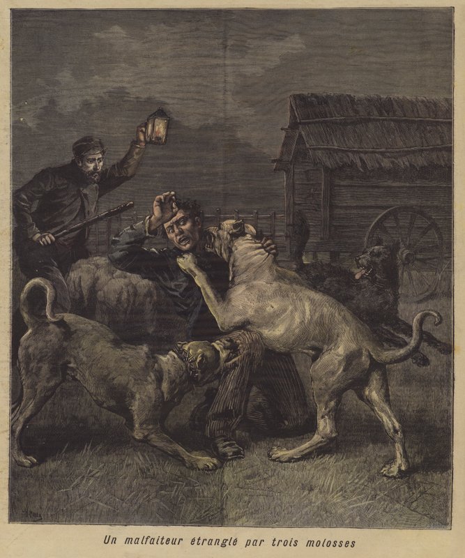 Üç mastiff tarafından yakalanan bir suçlu by French School