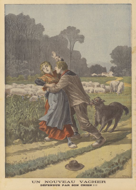 Saldırgandan köpeği kurtaran çoban kız by French School