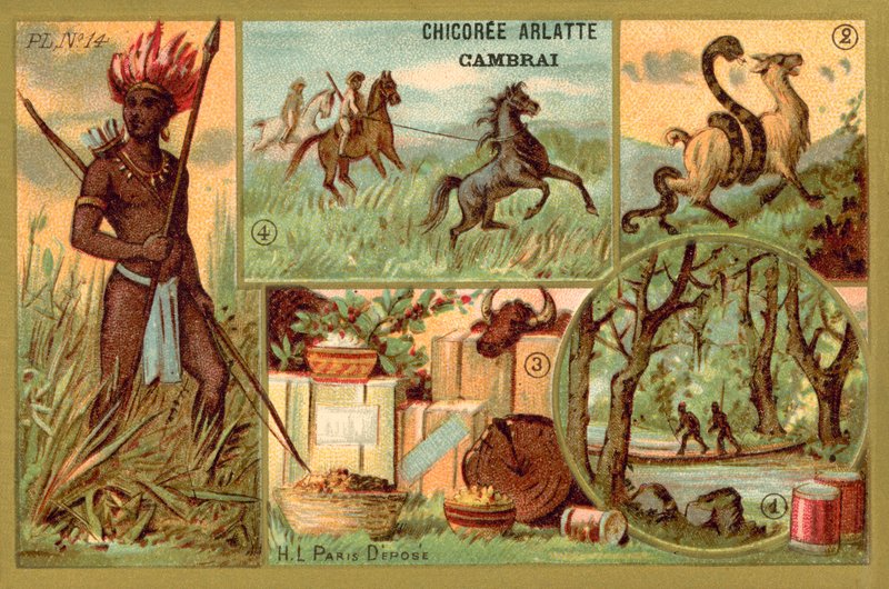 Güney Amerika by French School