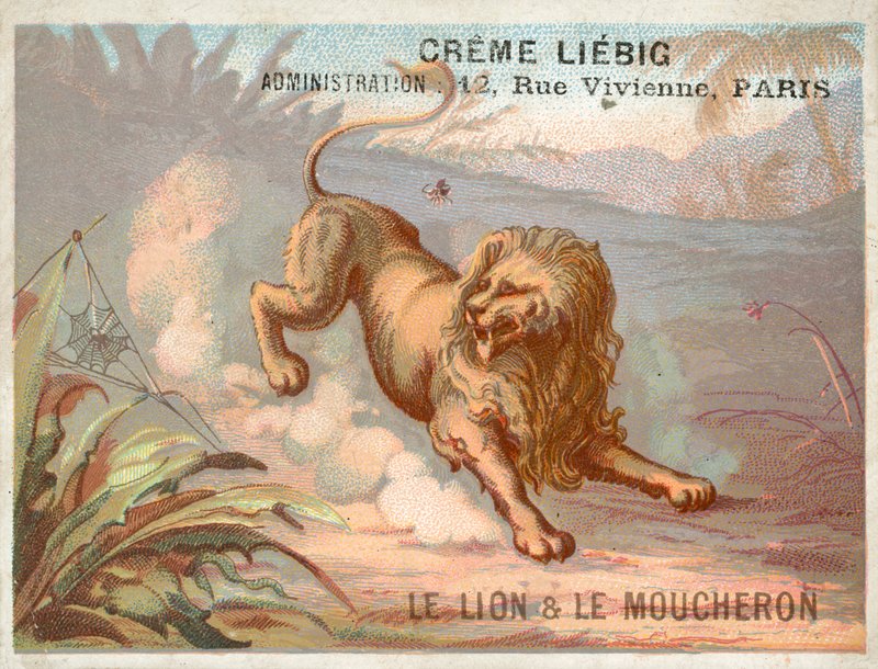 Aslan ve Sivrisinek by French School