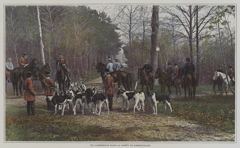 Foret de Rambouillet, Fransa