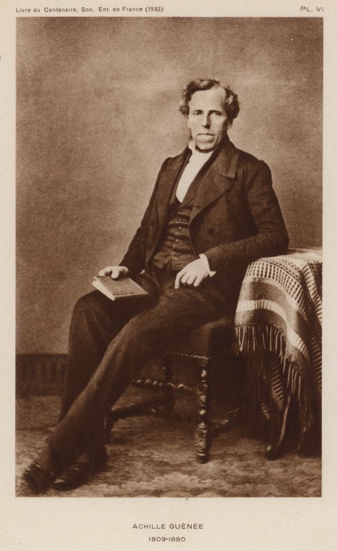Achhille Guenee, Fransız entomolog (s/b fotoğraf) by French Photographer