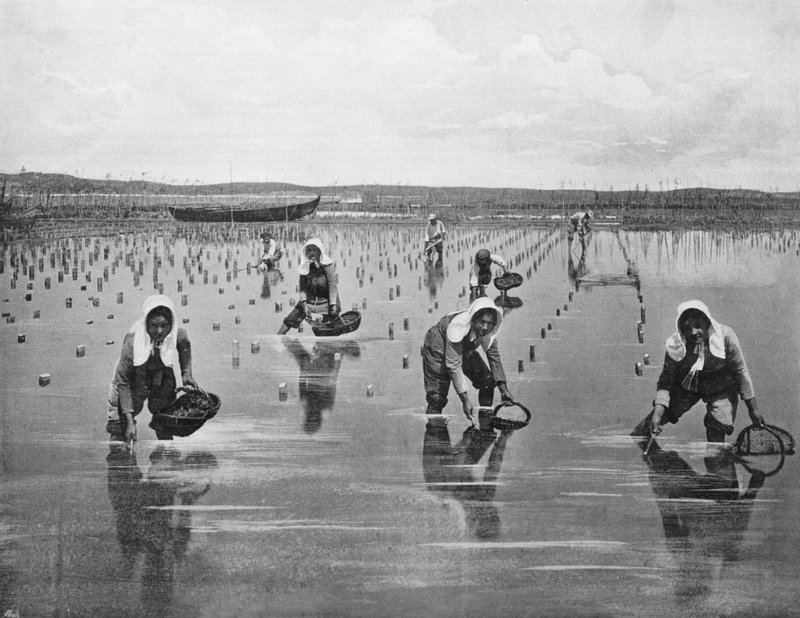 Arcachon - İstiridye Parkeleri (s/b fotoğraf) by French Photographer