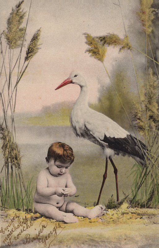 leylek ile bebek by French Photographer