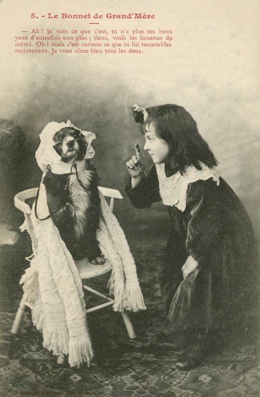Köpeğine bone giydiren çocuk (s/b fotoğraf) by French Photographer