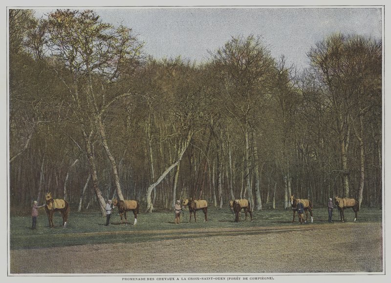 Fransa, Foret de Compiegne