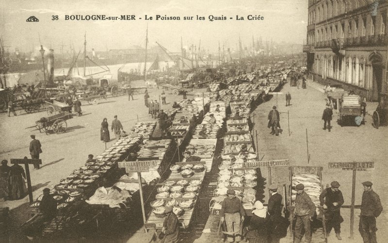 İskelede balık, Boulogne-sur-Mer (s/b fotoğraf) by French Photographer