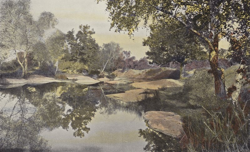 Fontainebleau, Foret, Mare de Franchard by French Photographer