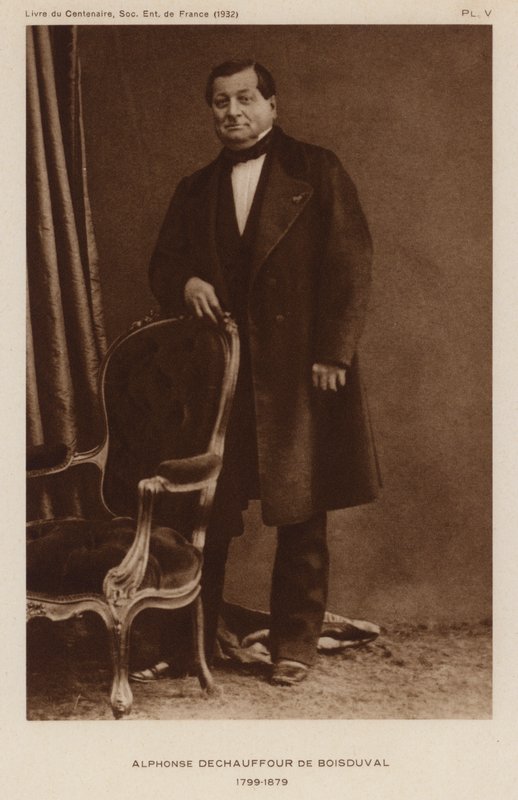 Jean Baptiste Boisduval, Fransız lepidopterist ve botanikçi (s/b fotoğraf) by French Photographer