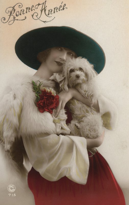 Küçük bir köpek tutan bayan by French Photographer
