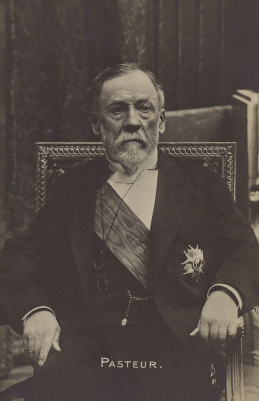 Louis Pasteur (1822-1895), Fransız kimyager ve mikrobiyolog by French Photographer