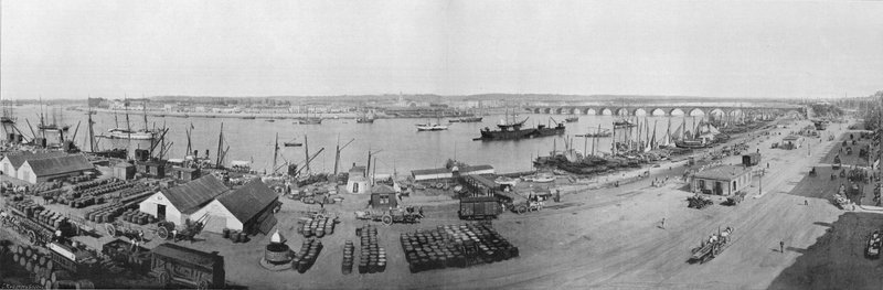 Rade ve Pont de Bordeaux Panoraması, Gümrükten alınan görünüm (s/b fotoğraf) by French Photographer