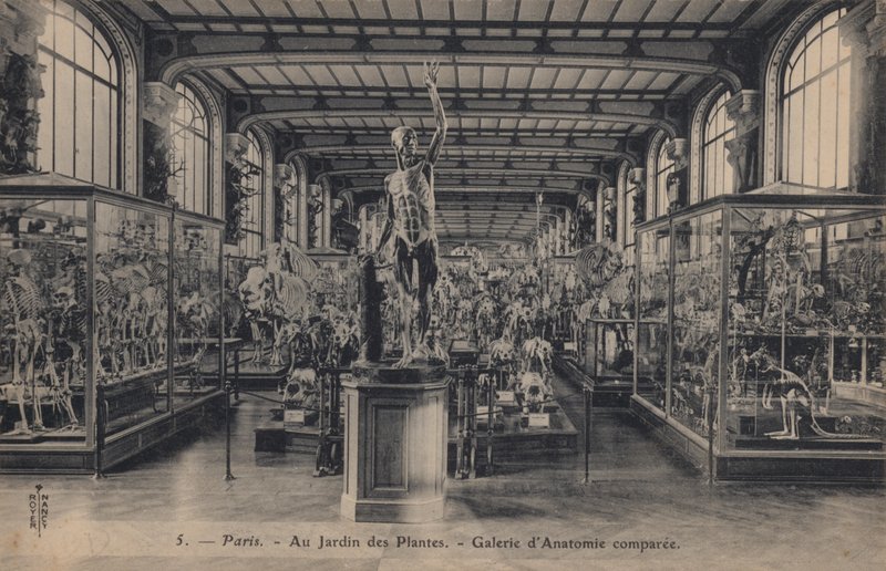 Paris, Jardin Des Plantes by French Photographer