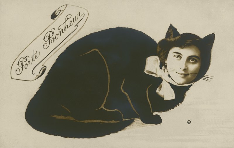 Güzel bir kızın yüzü olan gerçeküstü kedi (s/b fotoğraf) by French Photographer